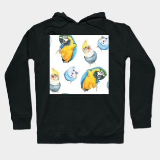 Parrot watercolor pattern - macaw, budgies, cockatiel Hoodie